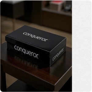 ENVELOPES - Wove.01251, TINT=DiamondWhite, WINDOW=No, TYPE=Wallet, SIZE=DL-110x220mm, QUANTITY=500 ENVELOPES - Wove.01251, TINT=DiamondWhite, WINDOW=No, TYPE=Wallet, SIZE=DL-110x220mm, QUANTITY=500